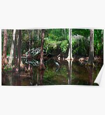 Southern Accents Poster