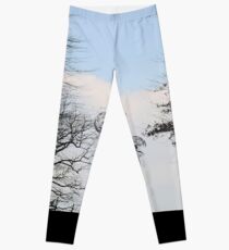 Fantasy Leggings