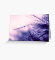 Sensitive Greeting Card