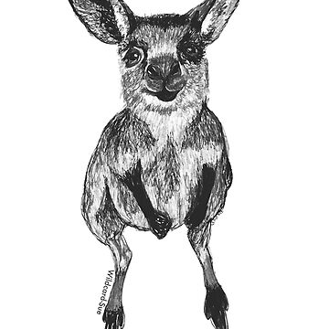 Artwork thumbnail, Josephine the Baby Kangaroo by Wildcard-Sue