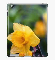 May flowers iPad Case/Skin