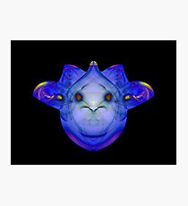 Blue Nicee Photographic Print
