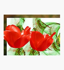 Red for Valentine's Photographic Print
