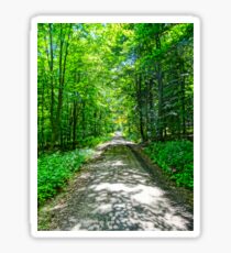 Mystical Forest Walk On Famous Goldsteig Trail Sticker