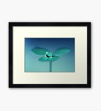 Zen Framed Print