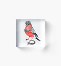 Domherre Acrylic Block
