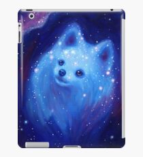Galaxy Pommern iPad-Hülle & Klebefolie