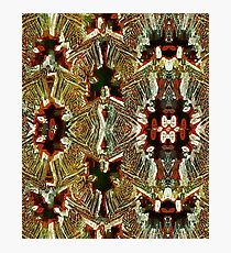 Ethnic Leaves Photographic Print