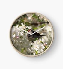 Male house sparrow and spring blossoms Clock