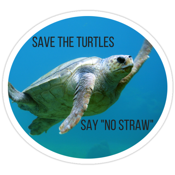 Save The Turtles Stop Using Plastic Straws No Waste Environmental