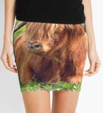 Heilan Coo Mini Skirt