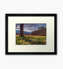 Smoky Mountain Revival Framed Print