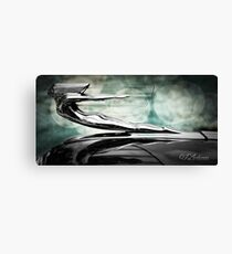 Dust Of The Stars Fell Canvas Print