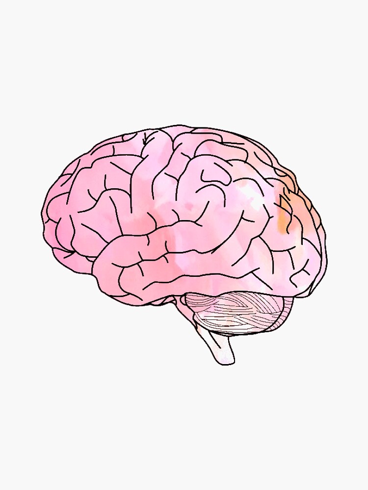 "watercolor brain" Sticker by clairekeanna | Redbubble
