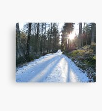 Ice Age - Forest Path Canvas Print