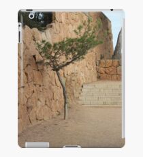 The art of Nature iPad Case/Skin