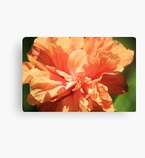 Organza Canvas Print