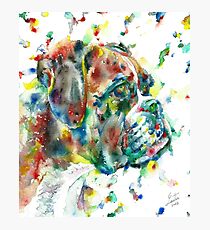 WATERCOLOR BOXER Photographic Print