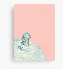 stargazing Canvas Print