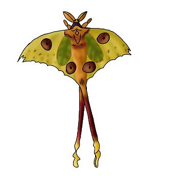 LARGE Madagascar Moon Moth Sticker