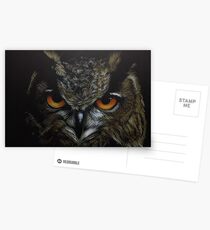 Owl Postcards