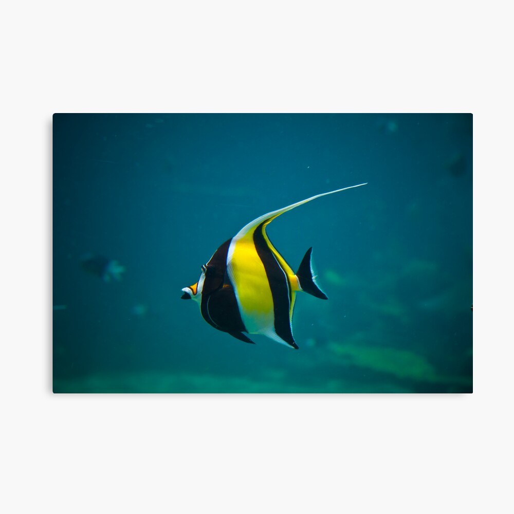 Wanda Canvas Print
