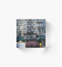 Apartment, Architecture, New York, Manhattan, Brooklyn, New York City, architecture, street, building, tree, car,   Acrylic Block