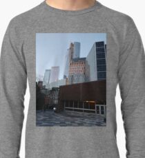 Metropolitan area, New York, Manhattan, Brooklyn, New York City, architecture, street, building, tree, car,   Lightweight Sweatshirt