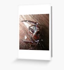 Creepy Crawly Greeting Card