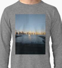 Jersey City, New York, Manhattan, Brooklyn, New York City, architecture, street, building, tree, car,   Lightweight Sweatshirt