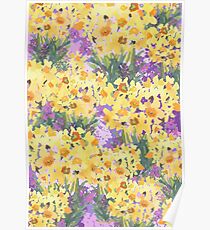Yellow Daffodil Garden Poster