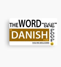 word fun Canvas Print