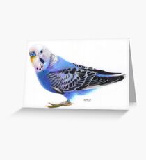 Willie Greeting Card