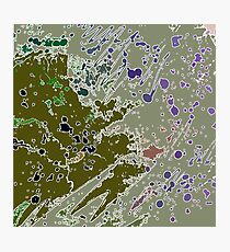 Cool Perspective - Green Olive, Sage & Blue Photographic Print