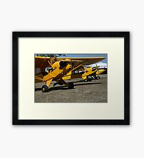 Trio of Cubs Framed Print