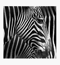Black and white Photographic Print