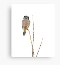 Balanced Canvas Print