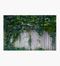 The Green Can Never Be Blocked Photographic Print