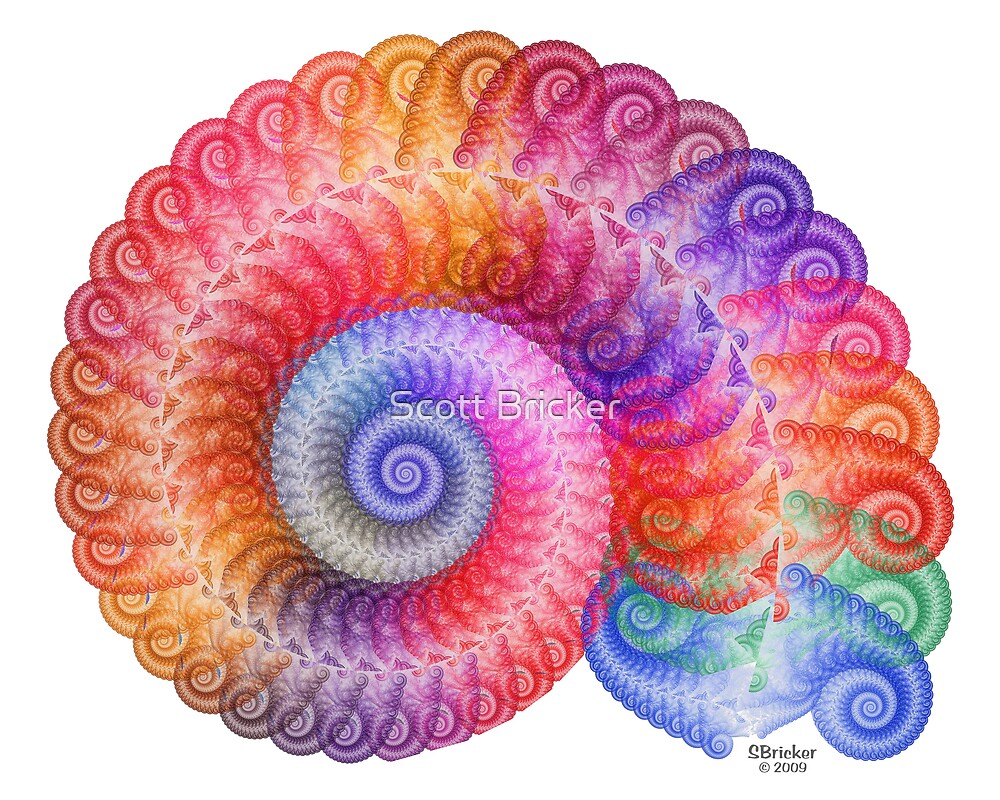 Echo Spiral Cut Boulder Dark Retro