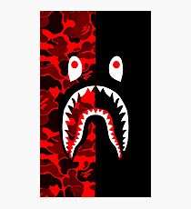 double kill Photographic Print