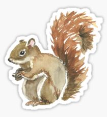 Niedliches Eichhörnchen-Design Sticker