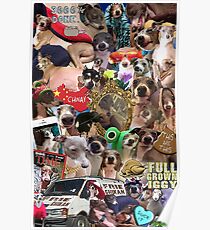 Jenna Marbles Kermit Collage Poster