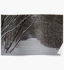 snow uk 2018 tree tunnel beast from the east Poster