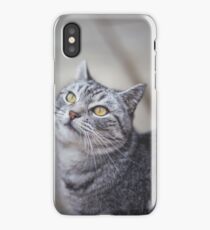 Neighborhood Cat iPhone Case