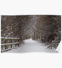 snow uk 2018 tree tunnel beast from the east Poster