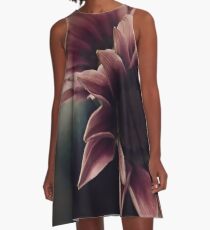 Sunday afternoon rose A-Line Dress