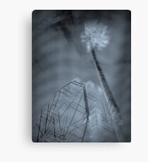 Quantum Mechanics Canvas Print