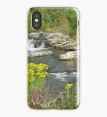 Wild Waters Tamed iPhone Case