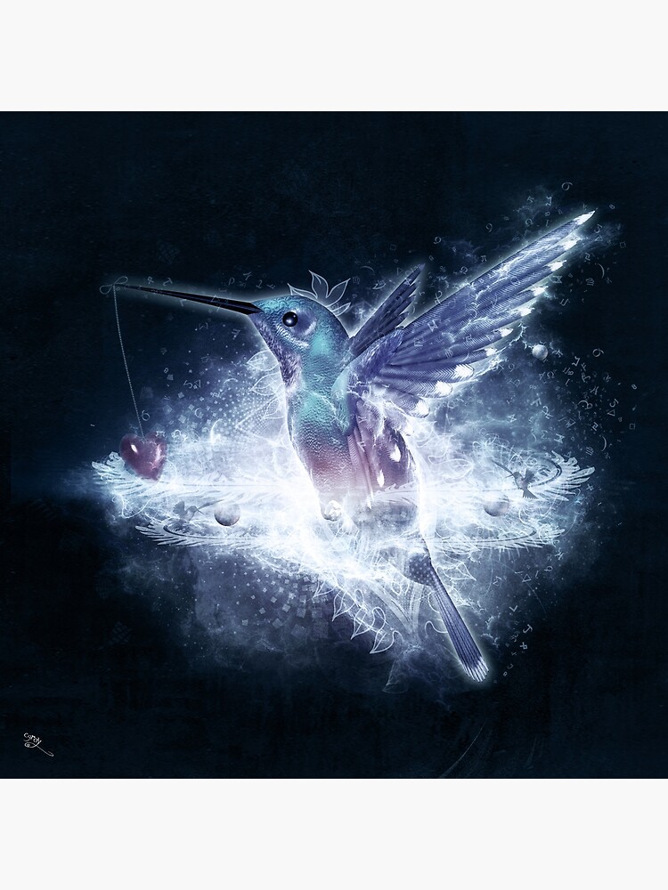 Hummingbird Love by CameronGray