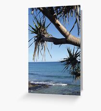 Pandanus 02 Greeting Card